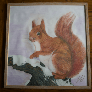 Everything Else red squirrel